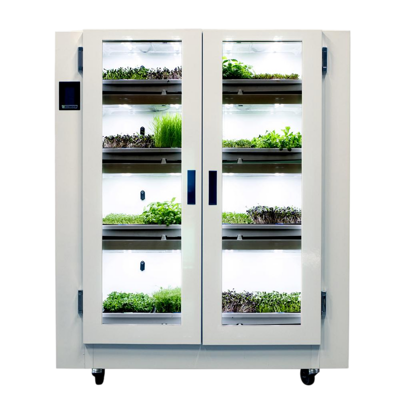 Nursery | BC Northern Lights / Urban Cultivator
