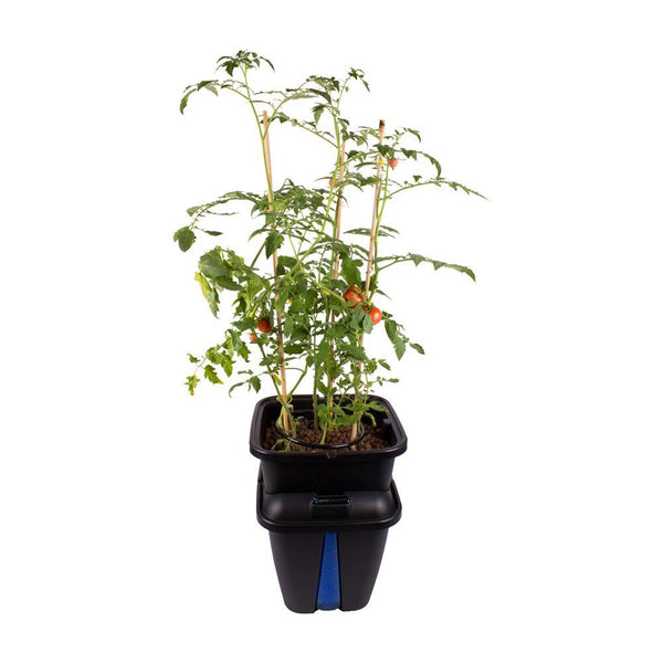 Gemini Recirculating Pot Grow Pots