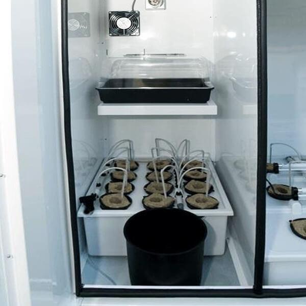 The BloomBox - Grow Box